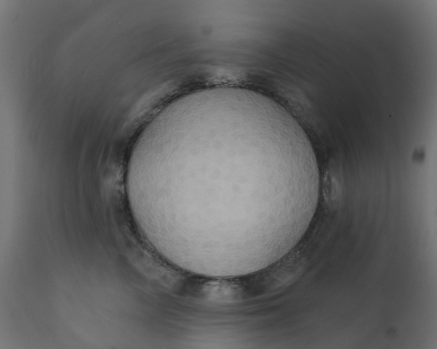 X0000111520714200907281339