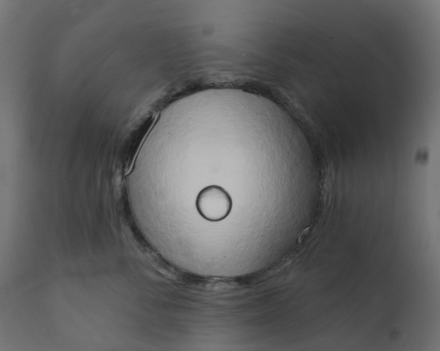 X0000111520716200907281339