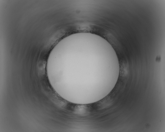 X0000111520717200907281339