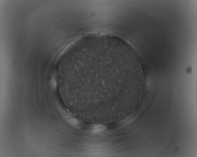 X0000111520719200907281339
