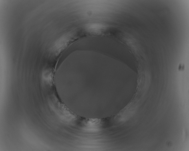 X0000111520720200907281338