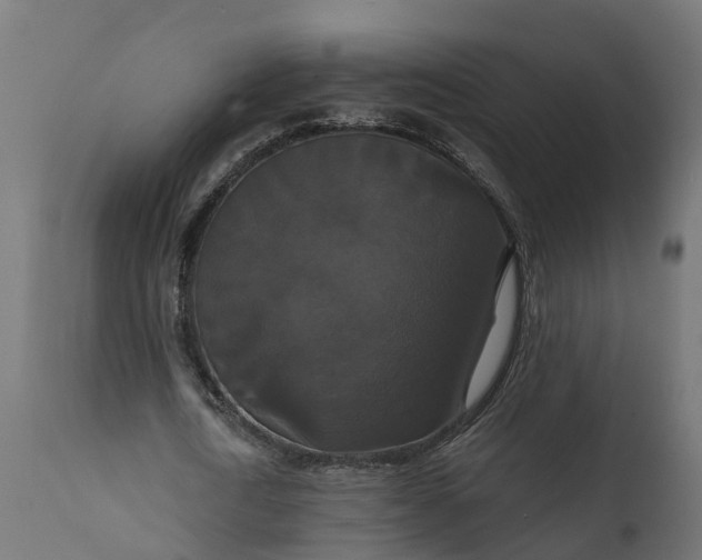 X0000111520722200907281338