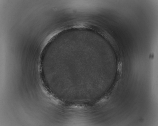 X0000111520724200907281338