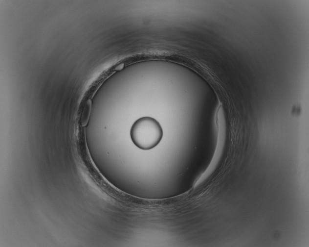 X0000111520726200907281338