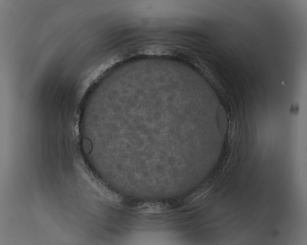 X0000111520727200907281338