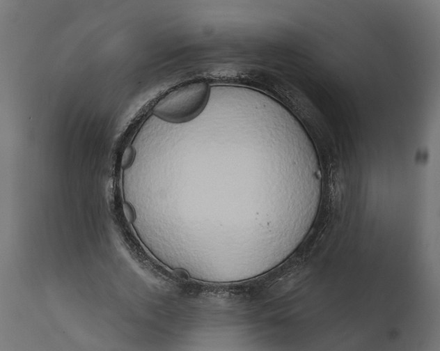 X0000111520728200907281338
