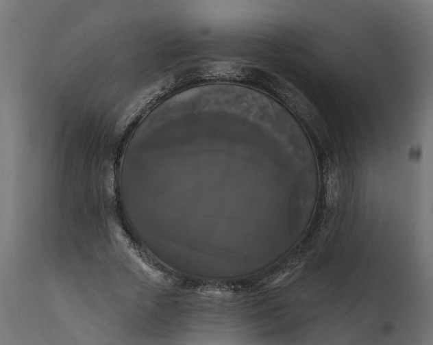 X0000111520729200907281338