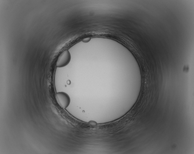 X0000111520732200907281338