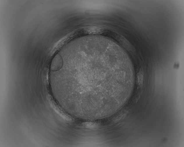 X0000111520733200907281338