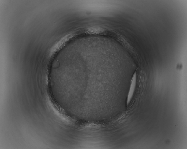 X0000111520734200907281338