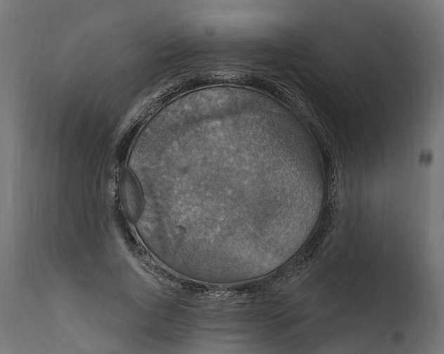 X0000111520736200907281338