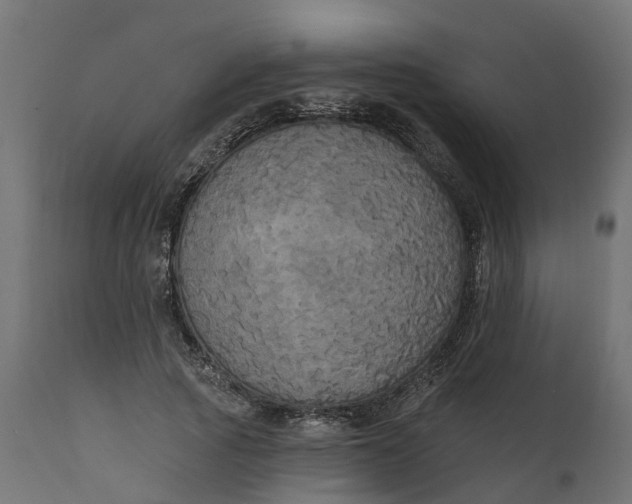 X0000111520737200907281338