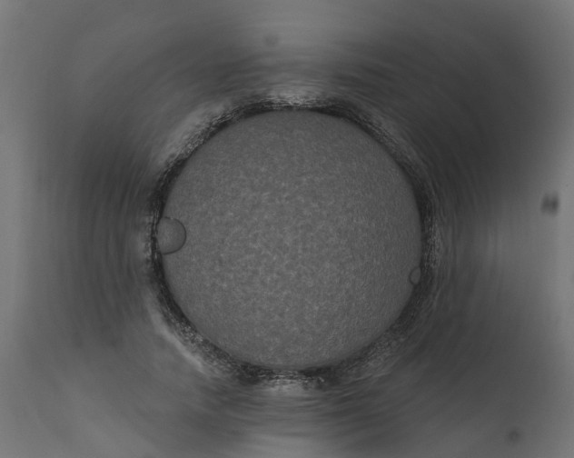 X0000111520738200907281338