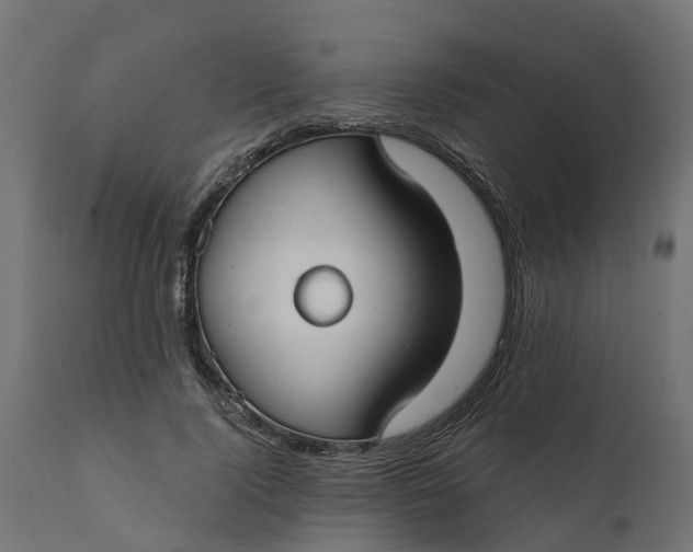X0000111520740200907281338