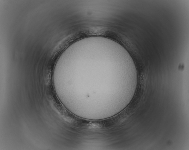 X0000111520741200907281338