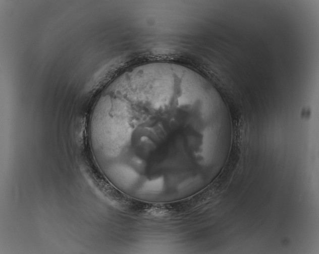 X0000111520742200907281338