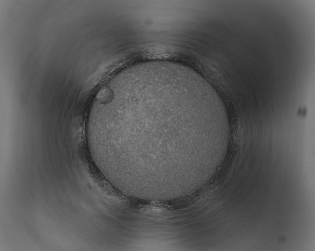 X0000111520743200907281338