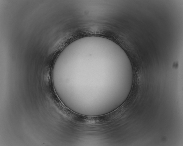 X0000111520746200907281338