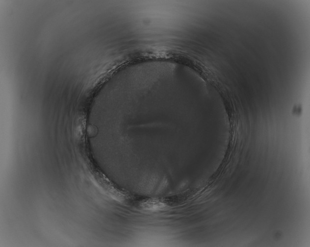 X0000111520747200907281338