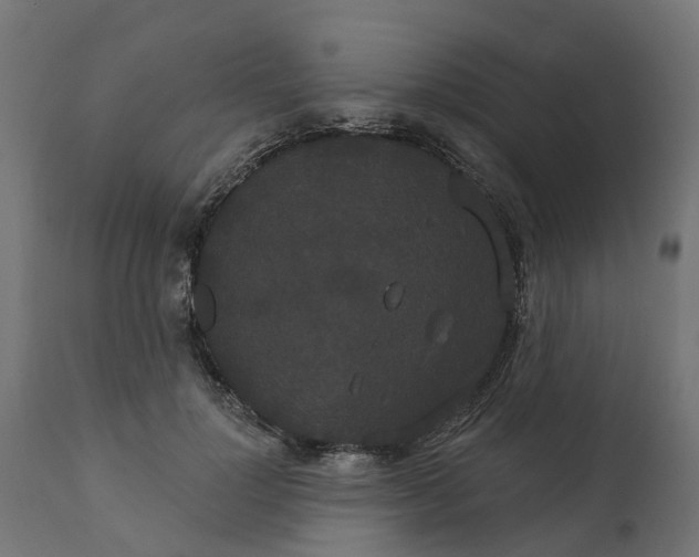 X0000111520748200907281338