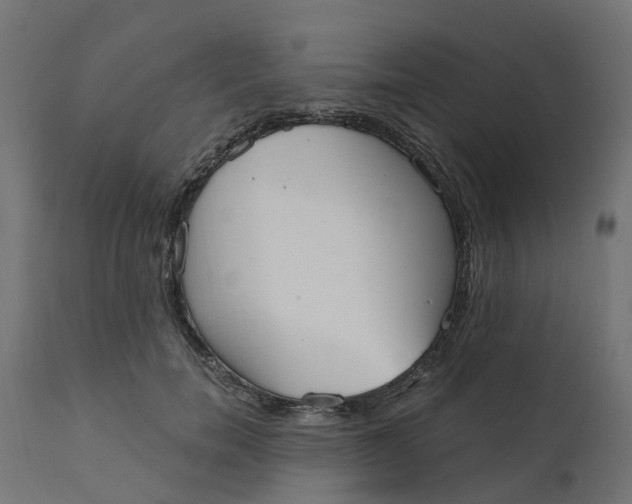 X0000111520750200907281338