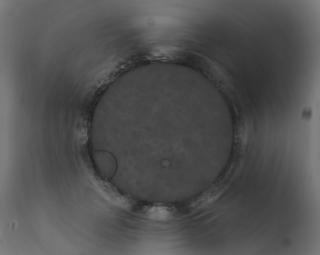 X0000111520751200907281338