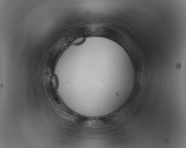 X0000111520752200907281338