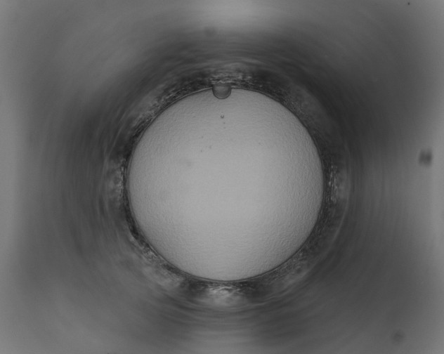 X0000111520753200907281338