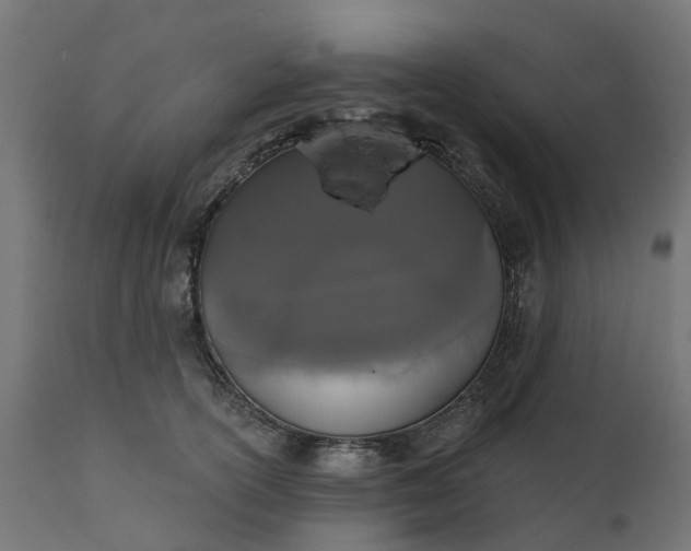 X0000111520754200907281338