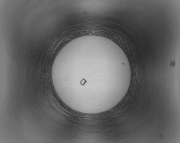 X0000111520756200907281338