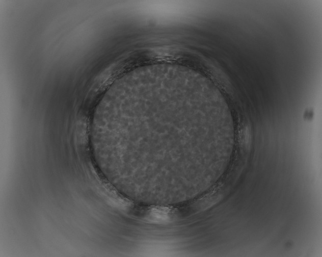 X0000111520757200907281338