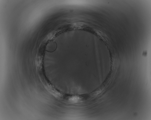 X0000111520759200907281338