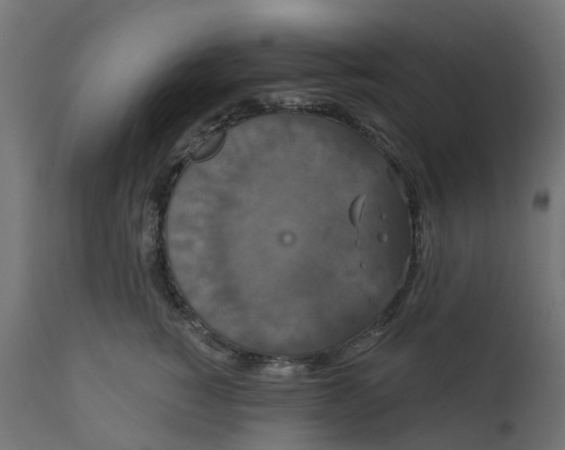 X0000111520760200907281338
