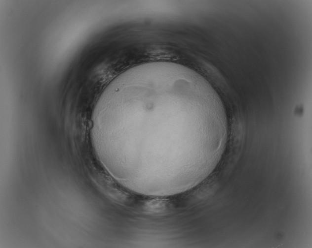X0000111520761200907281338