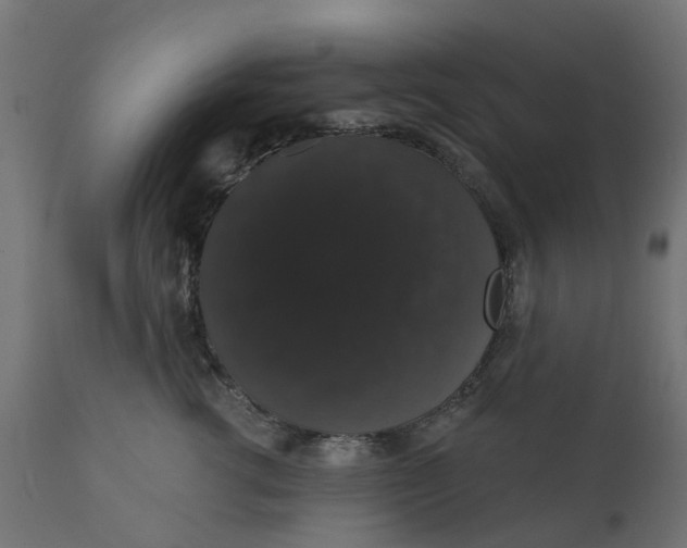 X0000111520762200907281338