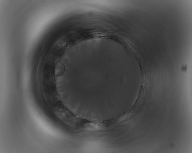 X0000111520763200907281338