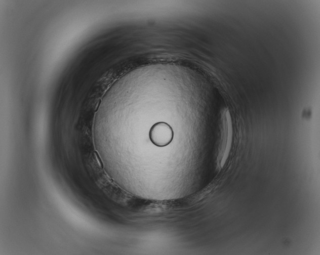 X0000111520764200907281338