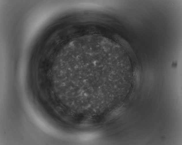 X0000111520765200907281338