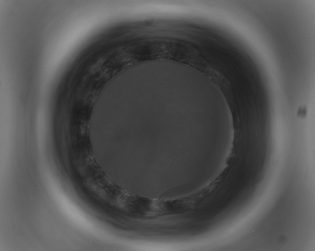 X0000111520766200907281338