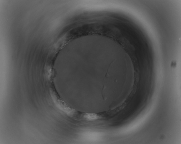 X0000111520767200907281338