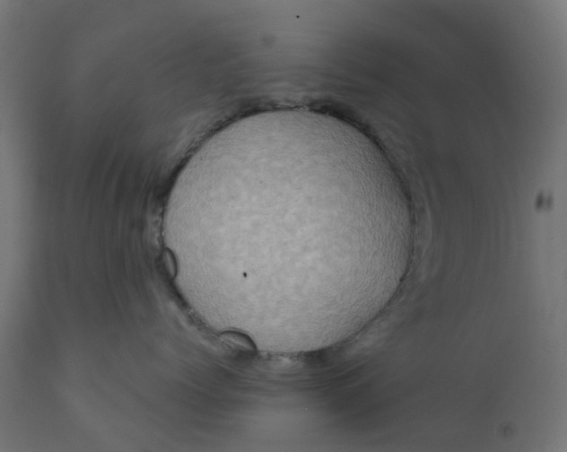 X0000111520768200907281338