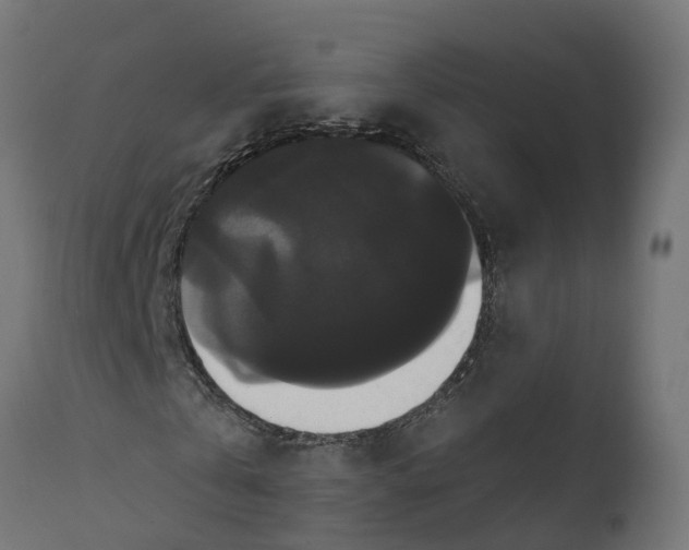 X0000111520769200907281338