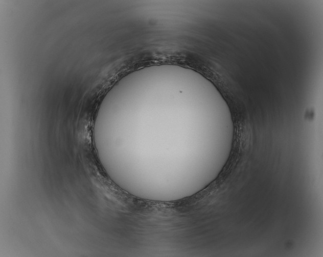 X0000111520770200907281338