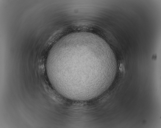 X0000111520771200907281338