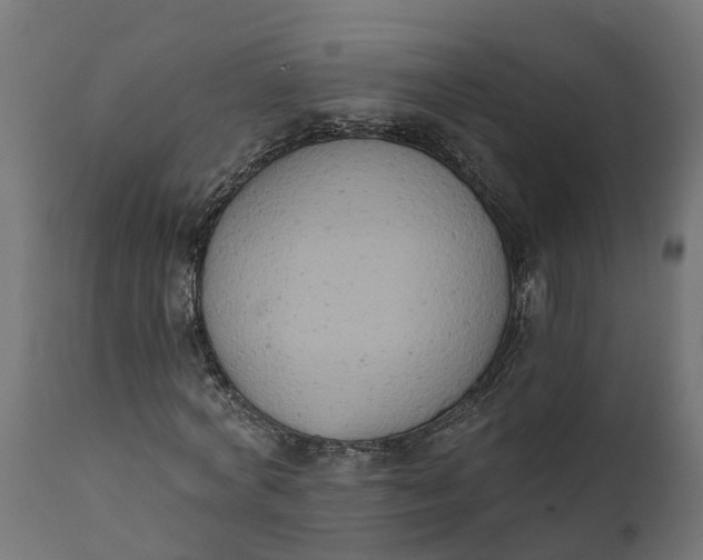 X0000111520772200907281338