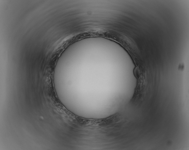 X0000111520773200907281338