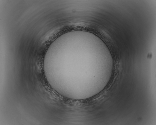 X0000111520774200907281338