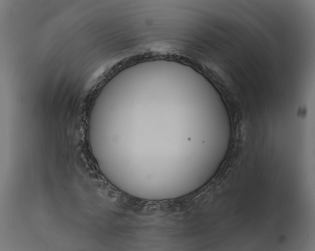 X0000111520776200907281338