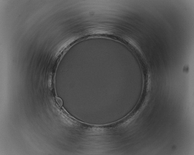 X0000111520777200907281338