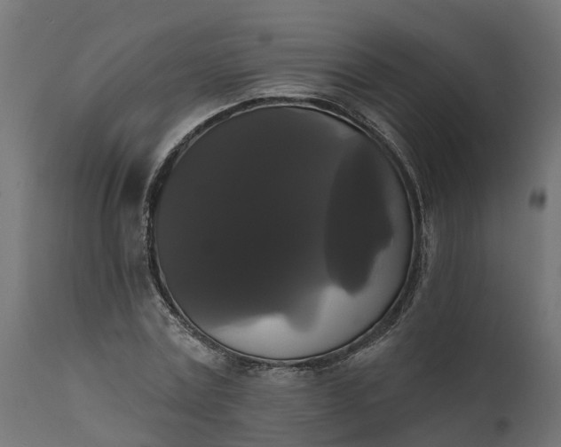 X0000111520779200907281338
